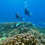 Experience Scuba Diving - No Certification Needed! - A Detailed Look at the Guam Scuba Experience