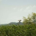 Experience Skadar Lake in 1h! - The Experience Itself