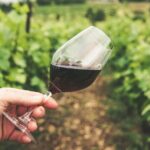 Experience Slovenian Coast line with Wine Tasting from Trieste - Transportation & Group Size