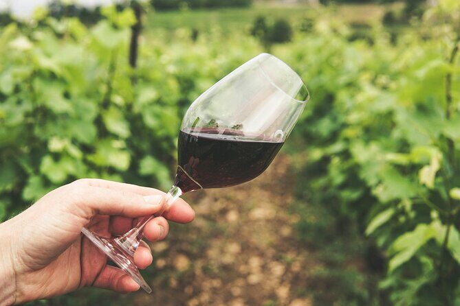 Experience Slovenian Coast line with Wine Tasting from Trieste - Transportation & Group Size