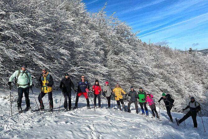 Experience Snowshoeing in Olympic Mountain Bjelanica - FAQ