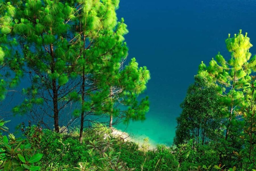 Experience the Magic of Chiapas: 3-Day Tour - What Makes This Tour Stand Out?
