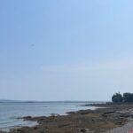 Explore Acadia with Ease Premium E-bike Rentals and Free Delivery - Why This Tour Offers Great Value