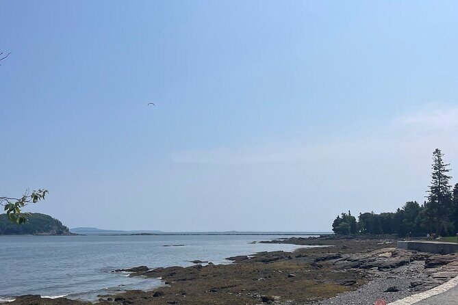 Explore Acadia with Ease Premium E-bike Rentals and Free Delivery - Why This Tour Offers Great Value