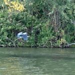 Explore Bird & Marine Wildlife private Boat Tour in English - Practicalities: What You Need to Know