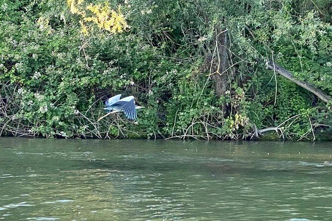 Explore Bird & Marine Wildlife private Boat Tour in English - Practicalities: What You Need to Know