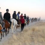 Explore Cappadocia Horseback Riding at Goreme National Park - Who Will Enjoy This Tour?