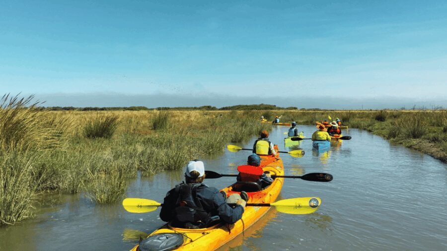 Explore Humboldt Bay by Kayak - Who Will Love This Experience?