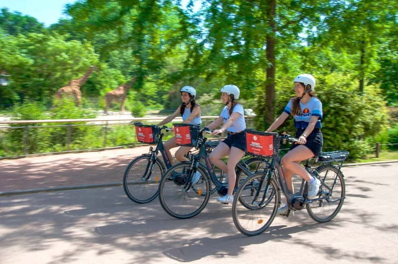 Explore Lyon and famous Tête d'Or Park by electric bike - Authenticity and Practicality