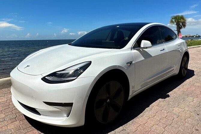 Explore Miami with a Private driver - The Sum Up