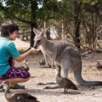 Explore Mornington Wildlife Wine and Hot Springs - The Sum Up