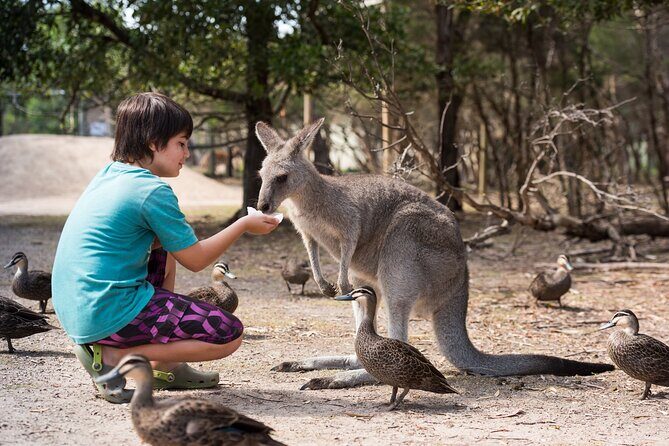 Explore Mornington Wildlife Wine and Hot Springs - The Sum Up