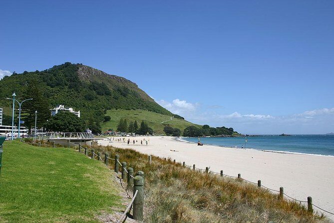 Explore Mount Maunganui: Self-Guided Audio Tour - The Sum Up