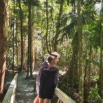 Explore Mt Tamborine from Gold Coast - Final Thoughts: Is This Tour Right for You?