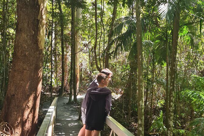 Explore Mt Tamborine from Gold Coast - Final Thoughts: Is This Tour Right for You?