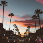 Explore Muscle Beach Venice Canals on Los Angeles Bike Tour - Why This Tour Offers Great Value