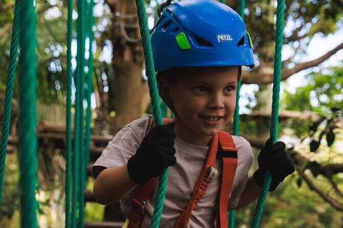 Explore Ourimbah State Forest Junior Tree Ropes Course - Why This Experience Offers Good Value