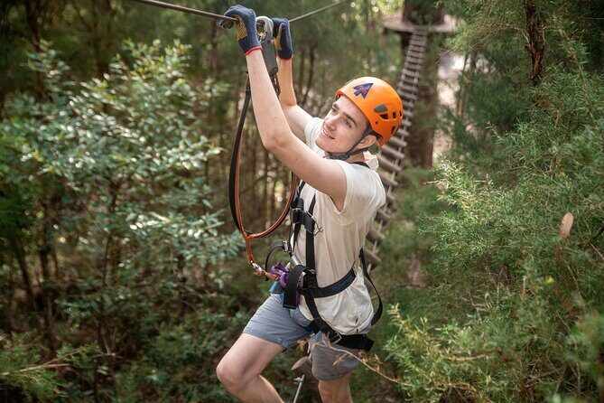 Explore Ourimbah State Forest Tree Ropes Course - Final Thoughts: Is It Worth It?