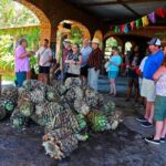 Explore Puerto Vallarta and Tequila Tasting - Value and Practical Considerations