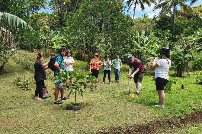 'Explore' Rarotonga Guided Bike Tour with Lunch and Swim - Exploring Rarotonga on Two Wheels
