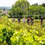 Explore Saint-Émilion on e-Bikes: Small Group, half-Day Tour - The Perfect Blend of History, Nature, and Taste