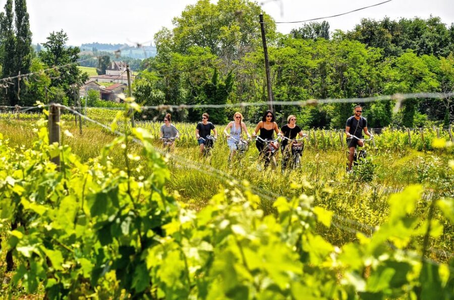 Explore Saint-Émilion on e-Bikes: Small Group, half-Day Tour - The Perfect Blend of History, Nature, and Taste