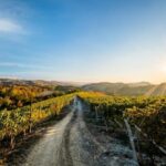 Explore & Savor: Dynamic Wine Tasting at Cantina Moscone - Frequently Asked Questions