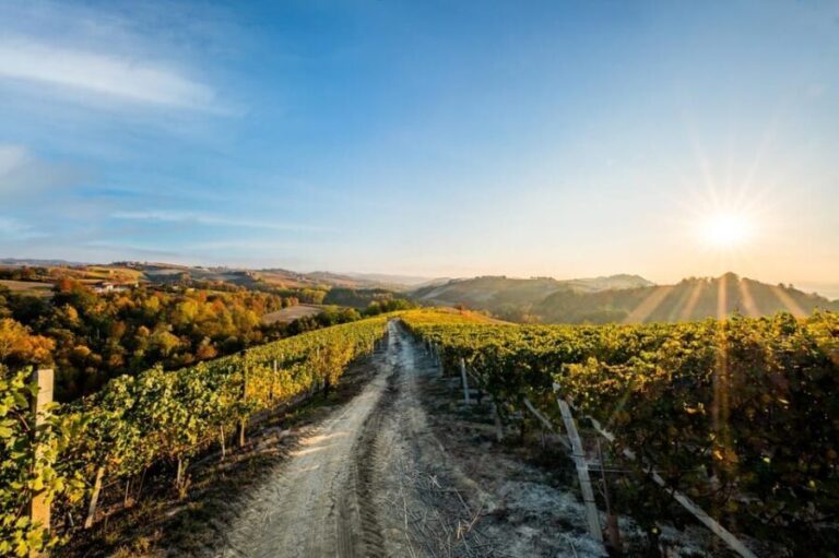 Explore & Savor: Dynamic Wine Tasting at Cantina Moscone - Frequently Asked Questions