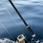 Explore Sesimbra Sports Fishing - The Sum Up