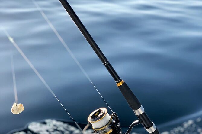 Explore Sesimbra Sports Fishing - The Sum Up