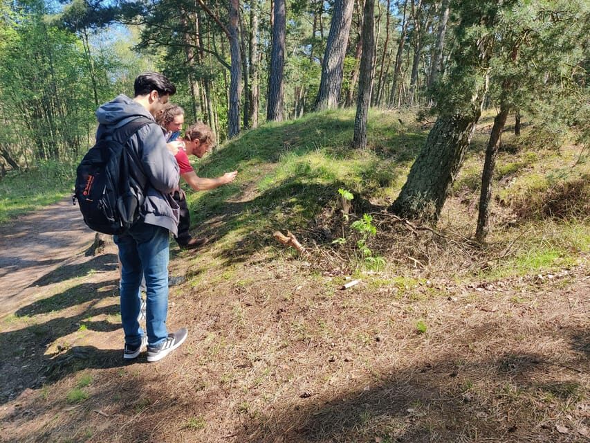 Explore Sobieszewo Island: Nature Walk & Wildlife Tour - Who Will Love This Tour?