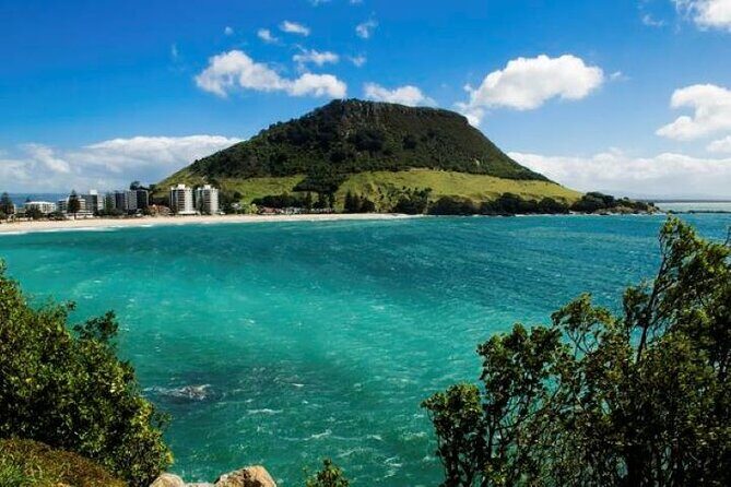 Explore Tauranga: Self-Guided Audio Tour - Final Thoughts: Is the Tauranga Self-Guided Audio Tour Worth It?