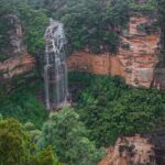 Explore The Blue Mountains with your local guide - Full Day Tour - Final Thoughts: Who Is This Tour For?