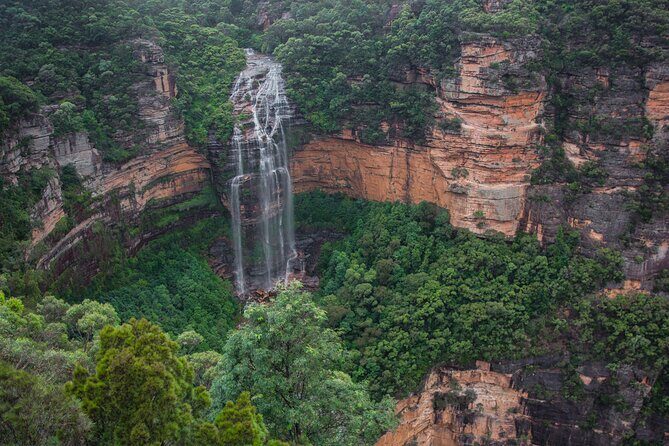 Explore The Blue Mountains with your local guide - Full Day Tour - Final Thoughts: Who Is This Tour For?