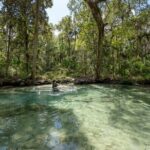 Explore The Chaz: Exclusive Clear Kayak Tours Near Crystal River - Why This Tour Stands Out