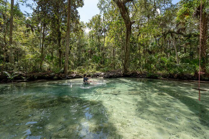 Explore The Chaz: Exclusive Clear Kayak Tours Near Crystal River - Why This Tour Stands Out