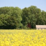 Explore the Cotswolds (Private Day Tour from London) - Transportation and Comfort