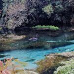 Explore The Lakes Tour - Frequently Asked Questions
