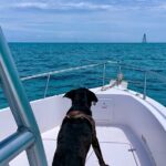 Explore the Waters of Key West - FAQ