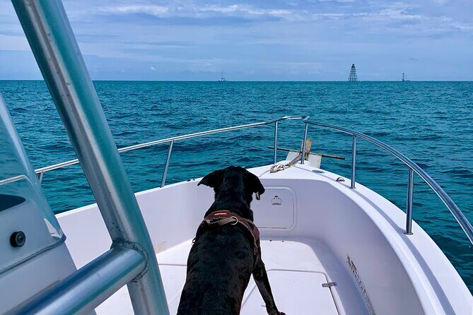 Explore the Waters of Key West - FAQ