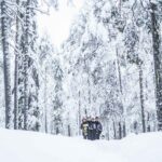 Explore the Wilderness - An In-Depth Look at the Arctic Photography Adventure