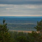 Explore the Wilderness (Summer & Autumn) - The Details of the Wilderness Photography Tour in Rovaniemi