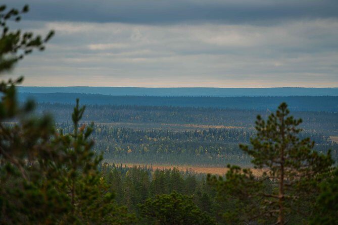 Explore the Wilderness (Summer & Autumn) - The Details of the Wilderness Photography Tour in Rovaniemi