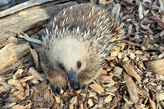 Explore Wildlife and Richmond Heritage Tour - An In-Depth Review of the Wildlife and Heritage Tour