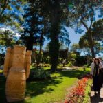 Exploring Capri and Anacapri from Rome: Sea and City Day Trip - The Experience in Detail