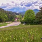 Exploring the Gutenstein Alps - Who Should Consider This Tour?