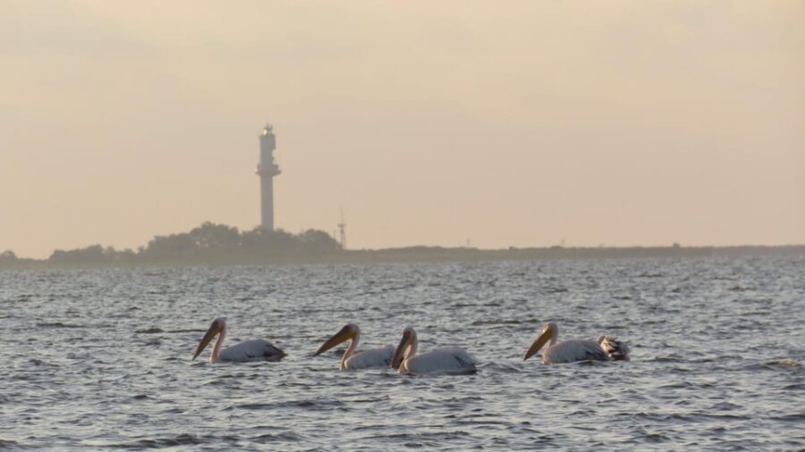 Exploring the Magic of the Danube Delta through photo lenses - An In-Depth Look at the Danube Delta Photo Tour