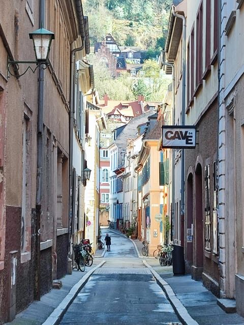EXPRESS TOUR of Historic Heidelberg - The Highlights in 1 h - Who Should Book This Tour?