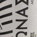 Extra Virgin Olive Oil Experience with Wine & Herbs - A Deep Dive into the Olive Oil Experience