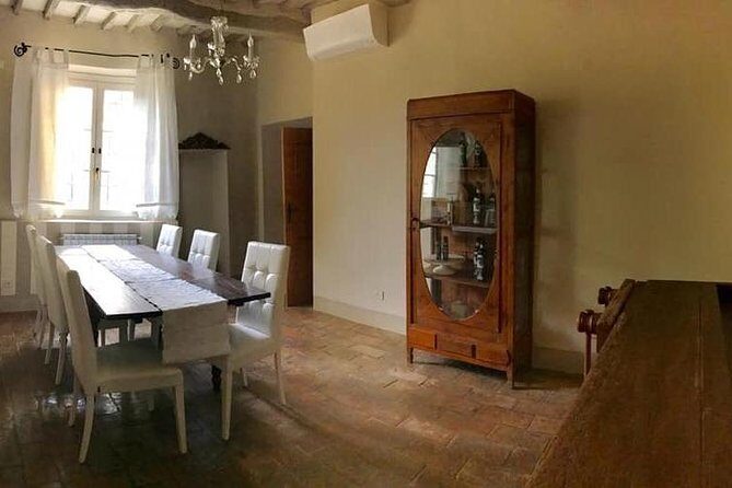 Extra Virgin Olive Oil Experience - The Itinerary in Detail